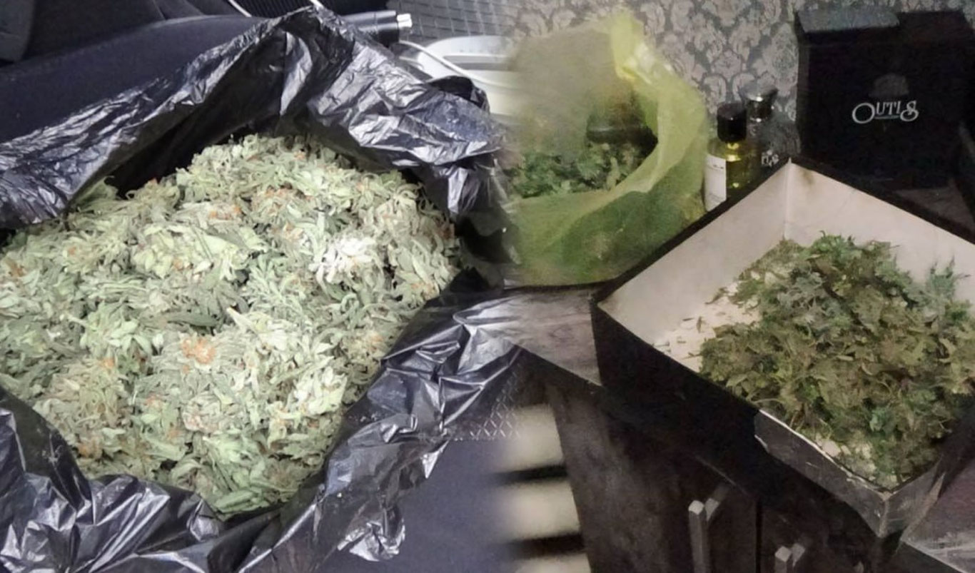 Тошкентда фуқаронинг машинаси ва уйидан салкам 292 гр марихуана топилди