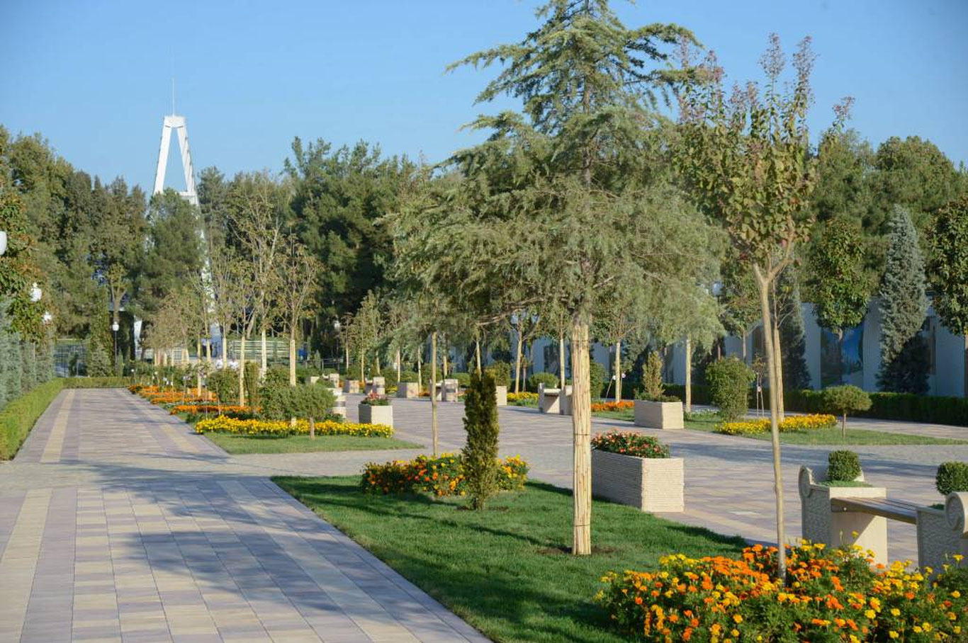 28 июнь учун об-ҳаво прогнози эълон қилинди