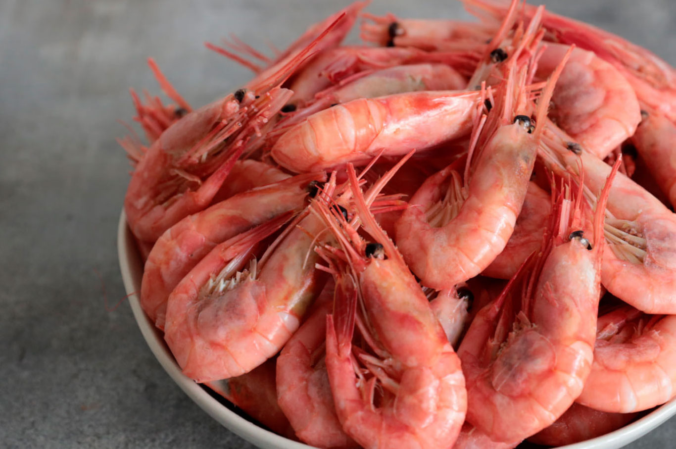 Япония таржибаси асосида Ўзбекистонда креветка етиштирилади