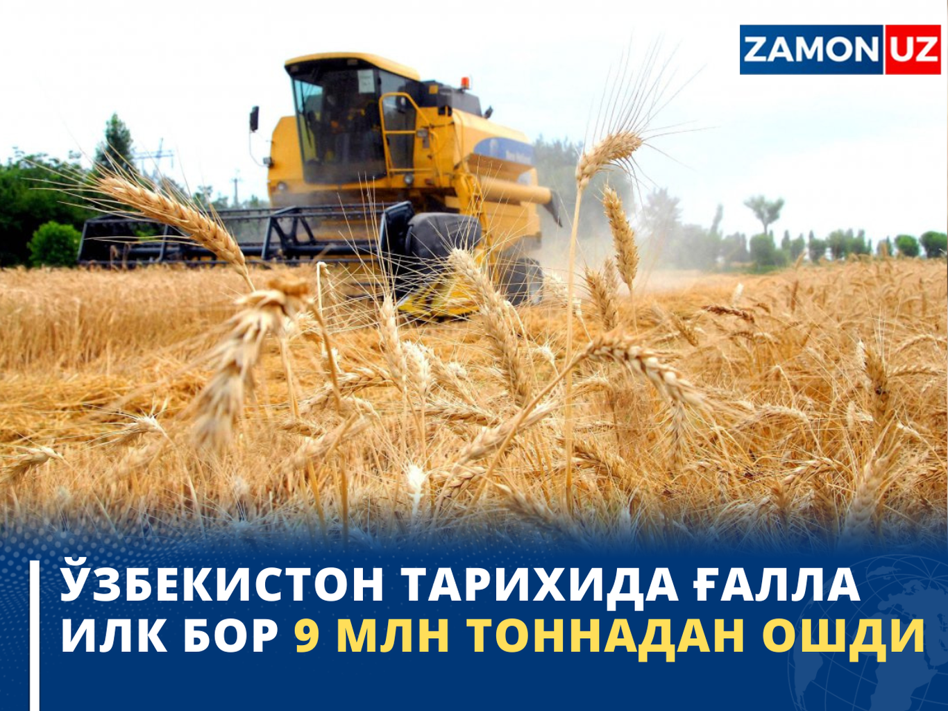 Ўзбекистон тарихида ғалла илк бор 9 млн тоннадан ошди