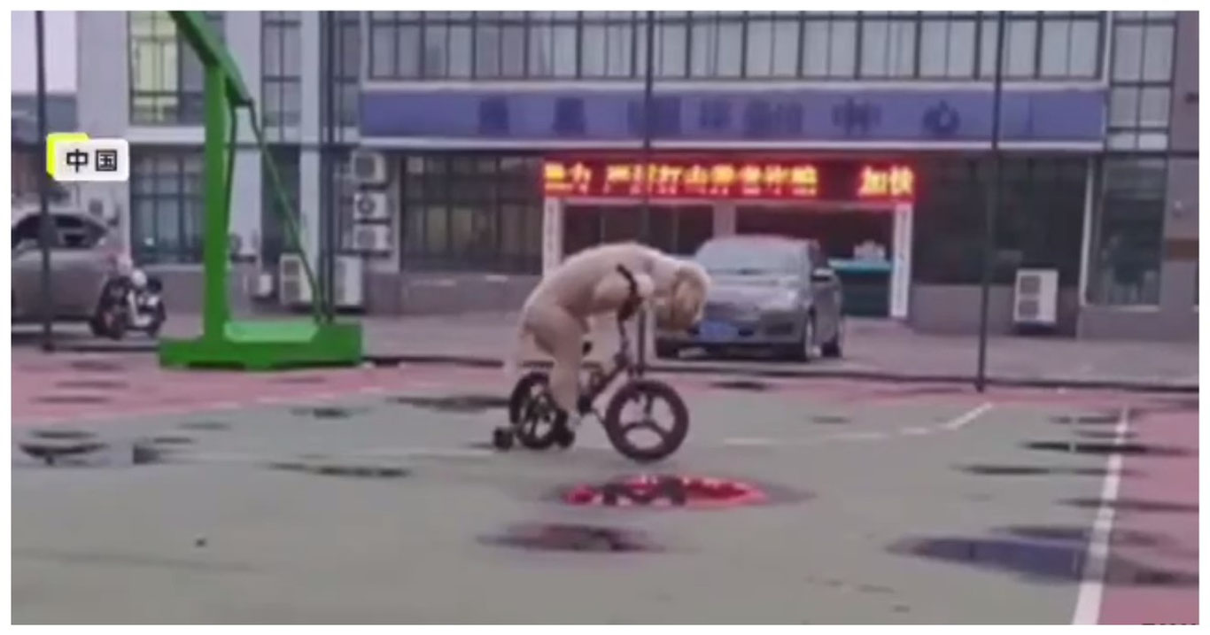 Хитойда ит велосипед ҳайдашни ўрганиб олди