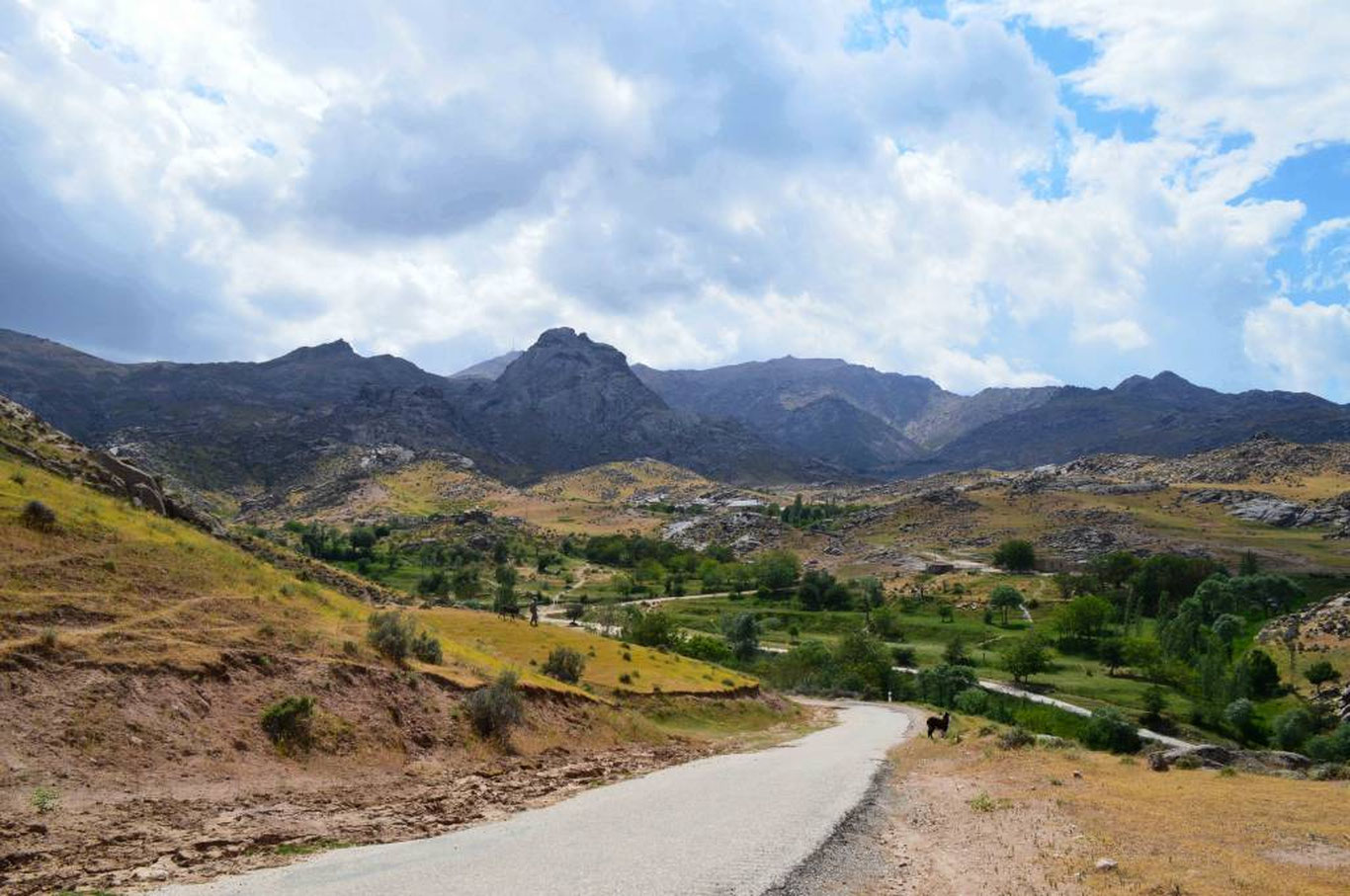 16 август учун об-ҳаво прогнози эълон қилинди