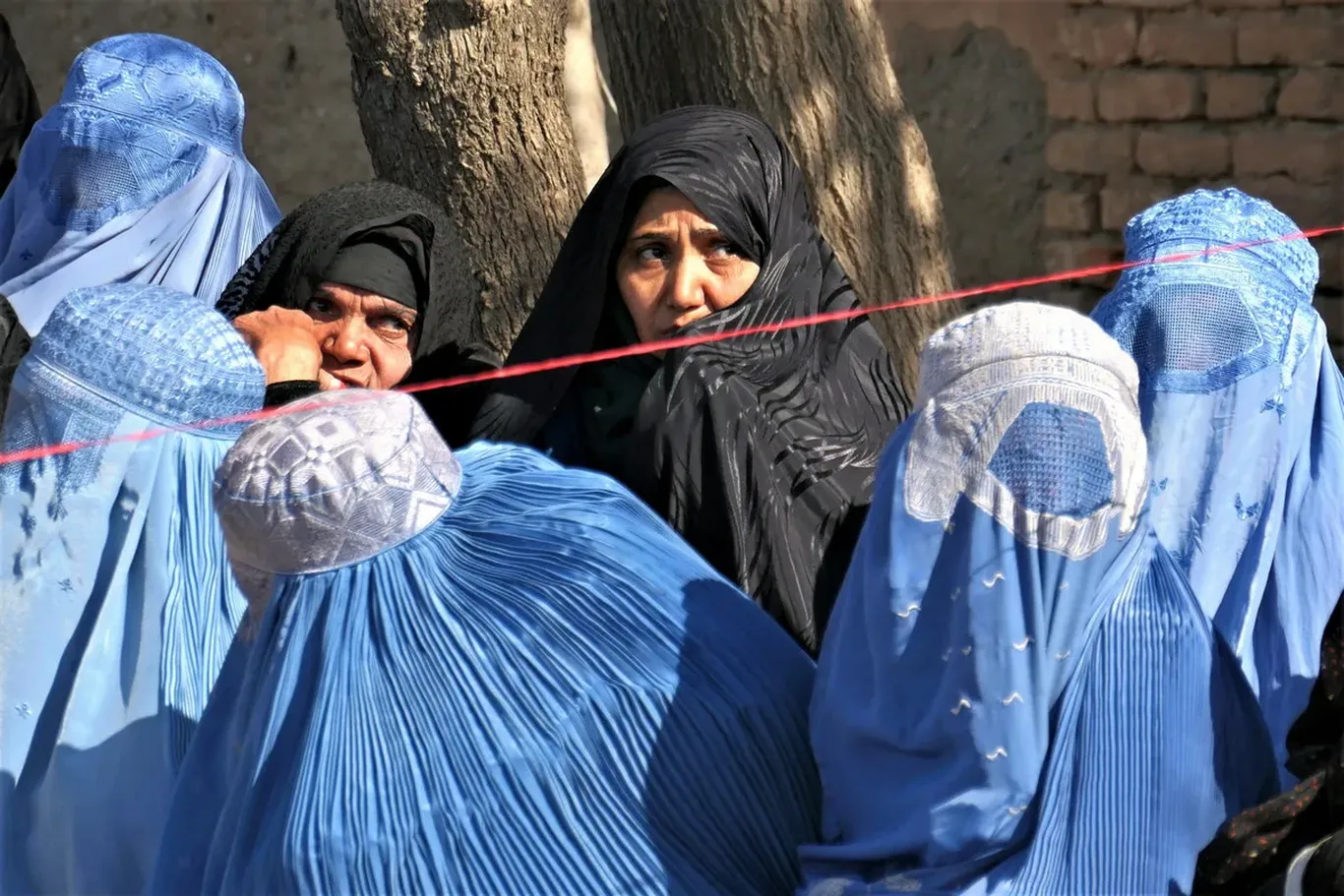 “Tolibon” ayollarga erkaklarga qarashni taqiqladi