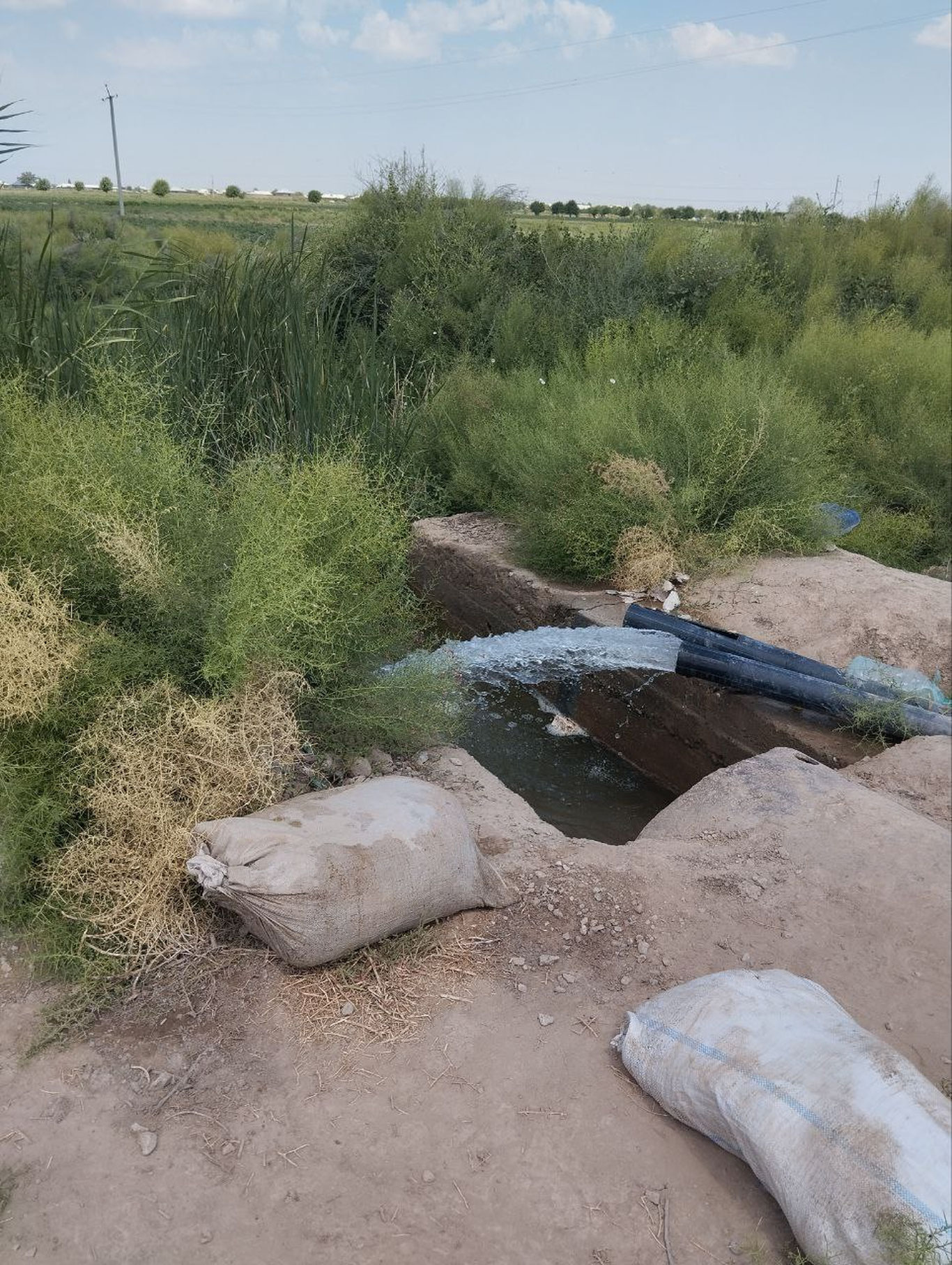 Қашқадарёда 350 млн сўмлик электр ўғирланди