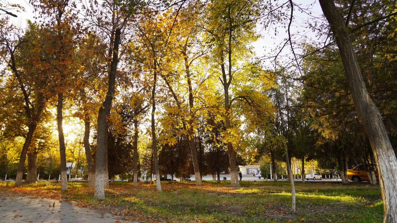 14 sentyabr uchun ob-havo prognozi eʼlon qilindi