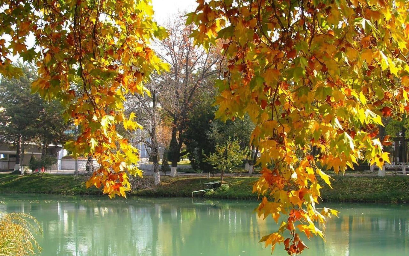 22 сентябрь учун об-ҳаво прогнози эълон қилинди