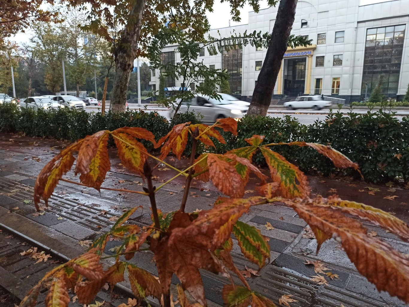 27-oktyabr uchun ob-havo prognozi eʼlon qilindi