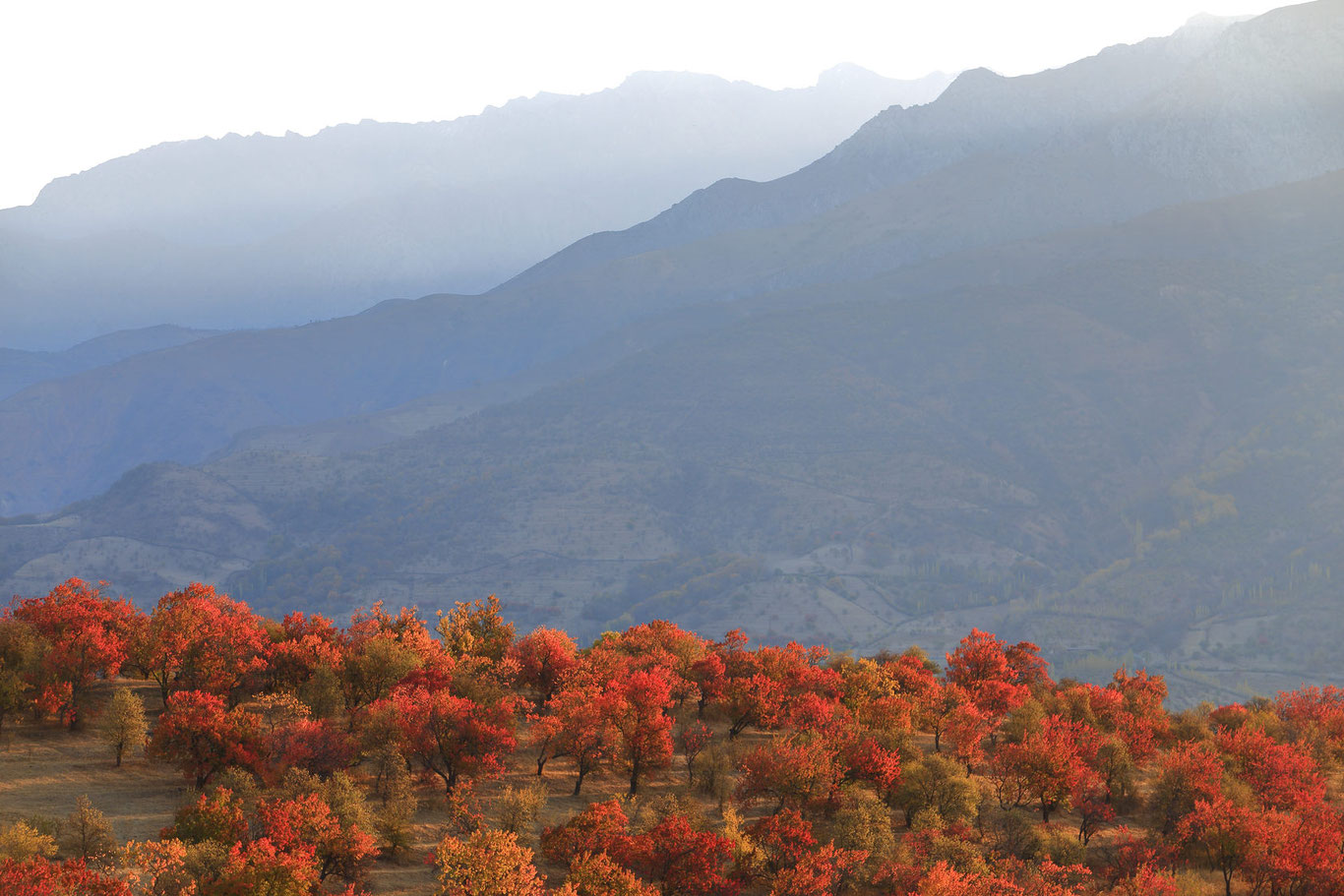 30 октябрь учун об-ҳаво прогнози эълон қилинди
