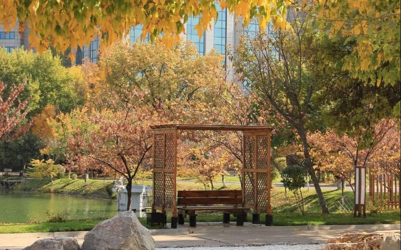 3 ноябрь учун об-ҳаво прогнози эълон қилинди