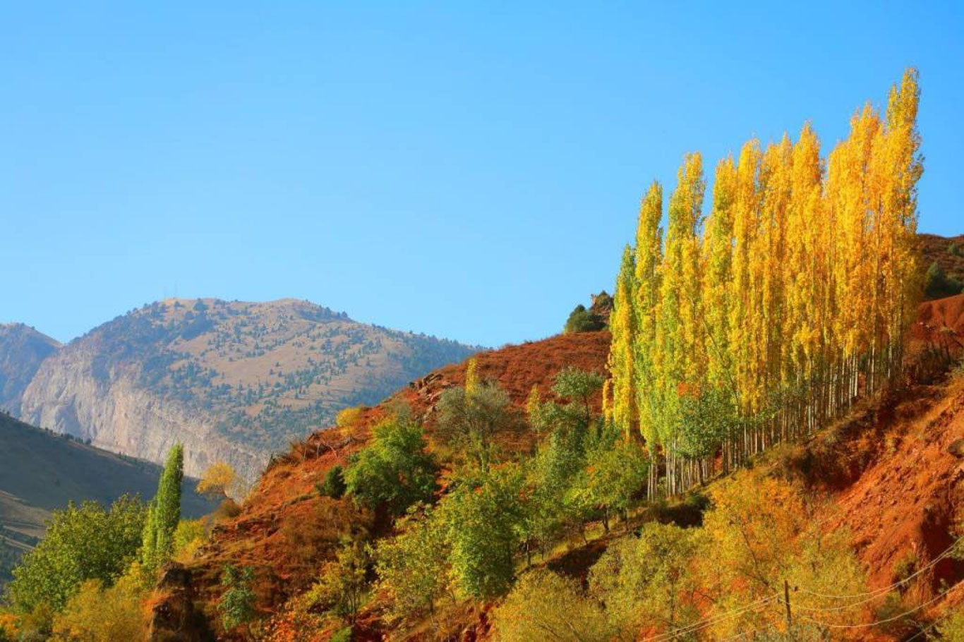 4 ноябрь учун об-ҳаво прогнози эълон қилинди