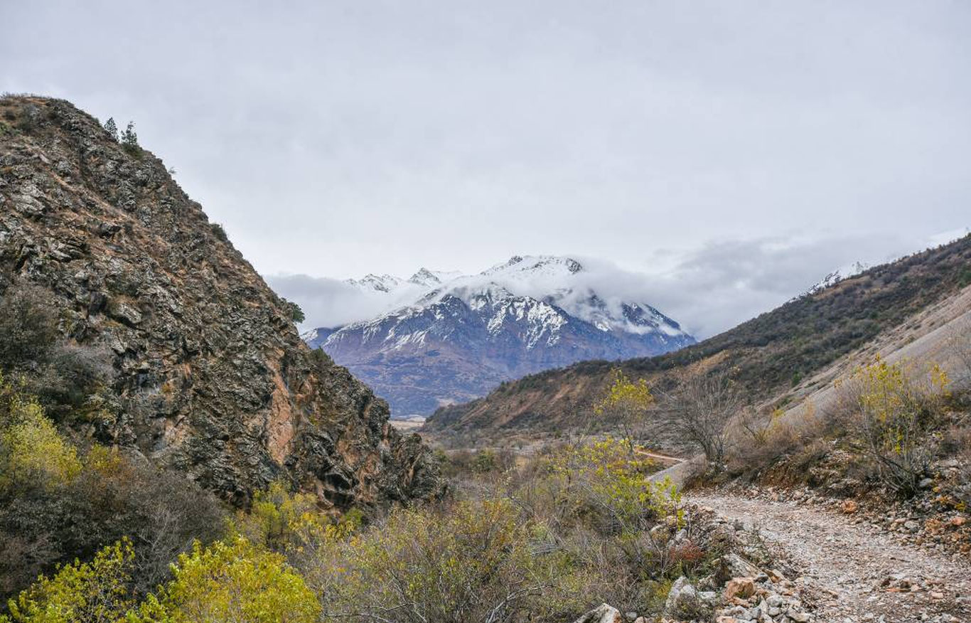 21 ноябрь учун об-ҳаво прогнози эълон қилинди