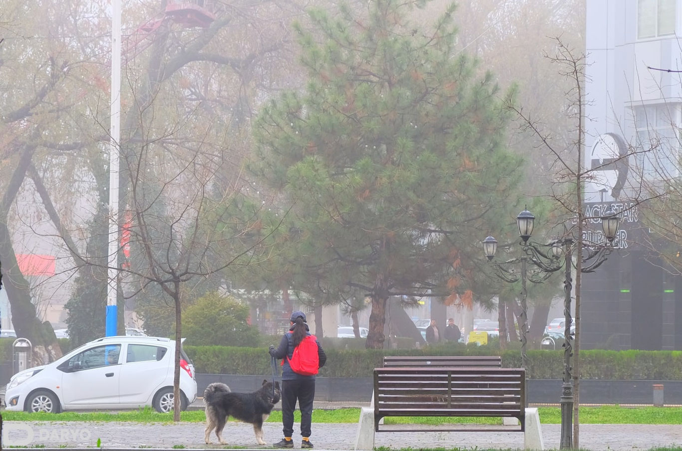 23 ноябрь учун об-ҳаво прогнози эълон қилинди