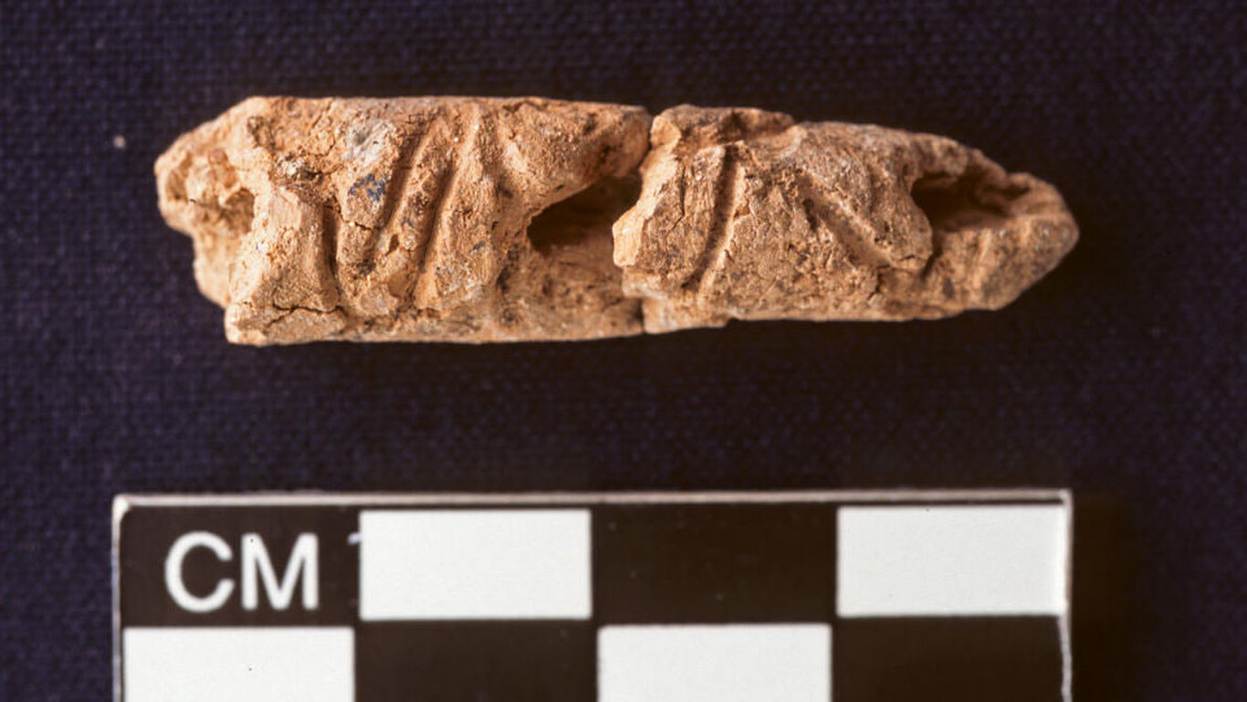 Дунёдаги энг қадимги алифбо топилди