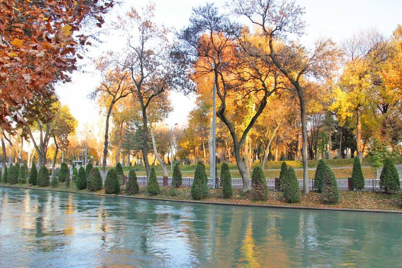 29 ноябрь учун об-ҳаво прогнози эълон қилинди