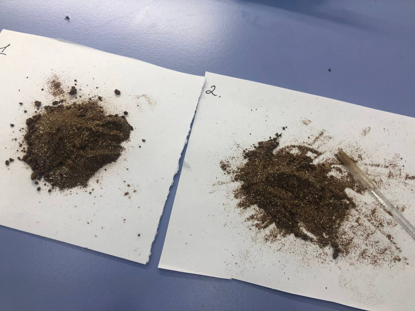 “Қаҳва таркибида кучли таъсир қилувчи моддалар аниқланди”