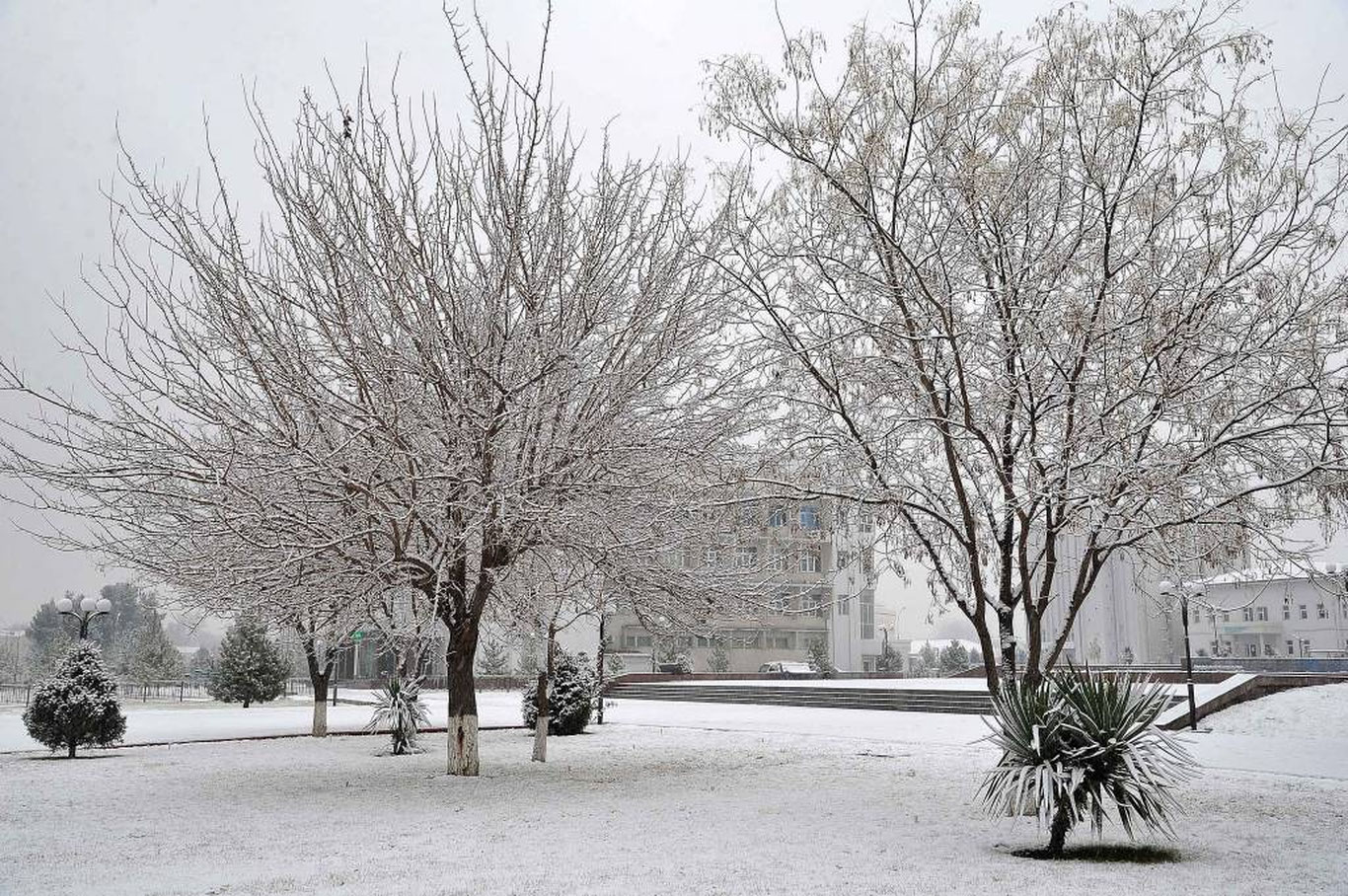 21 декабрь учун об-ҳаво прогнози эълон қилинди