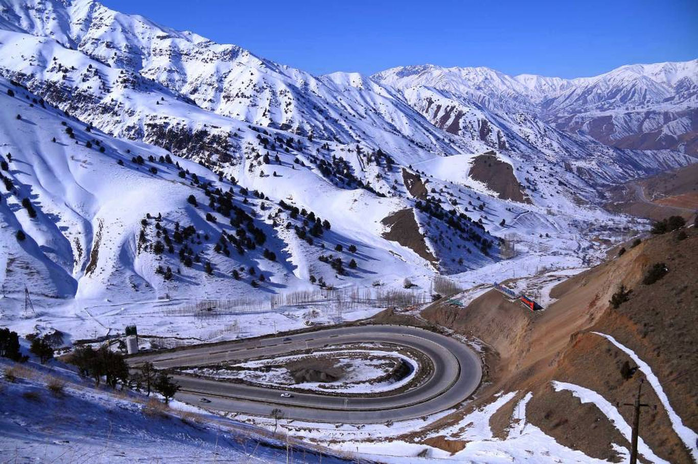 25 декабрь учун об-ҳаво прогнози эълон қилинди