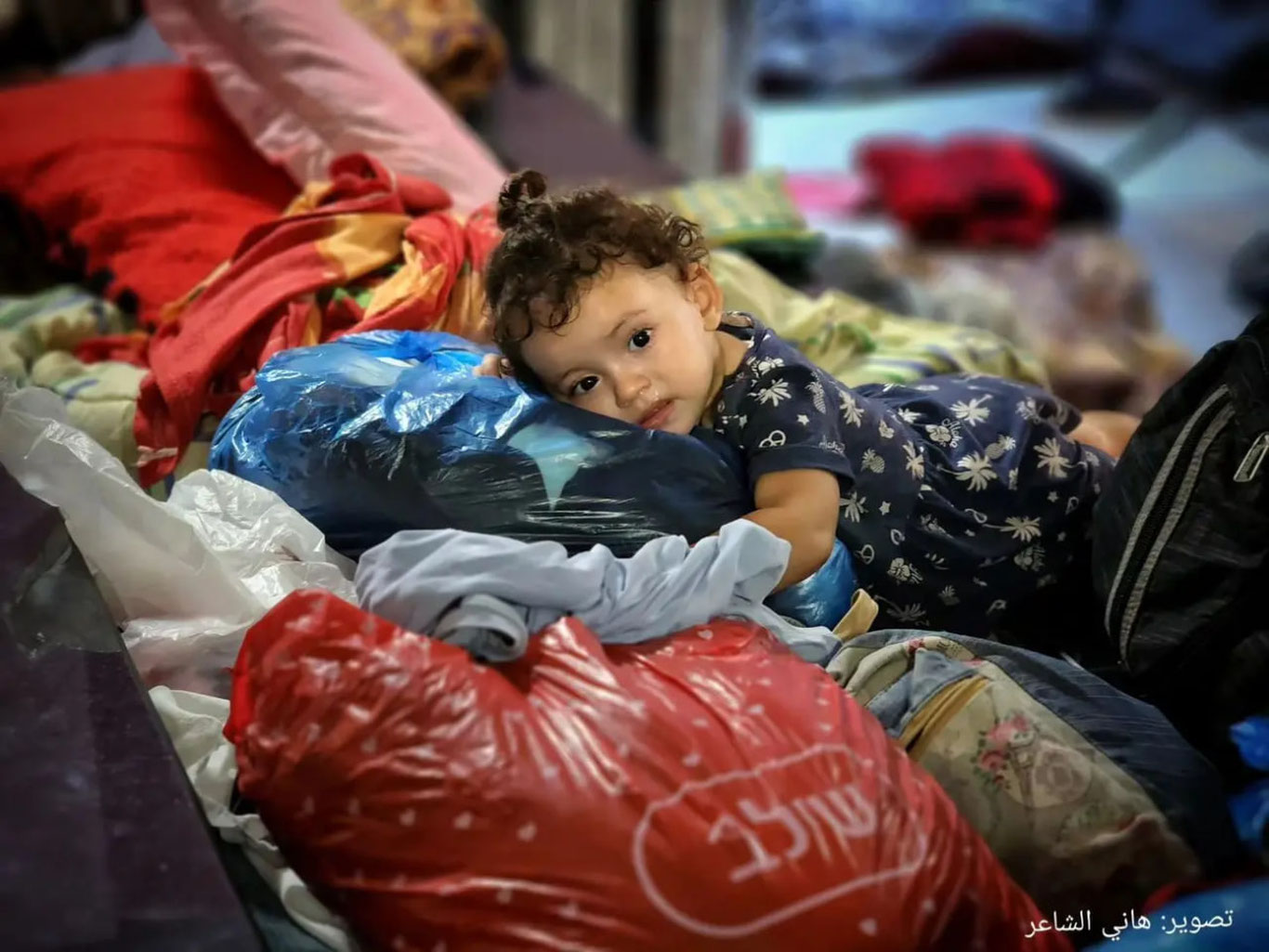 100 nafar falastinlik O‘zbekistonga evakuatsiya qilindi