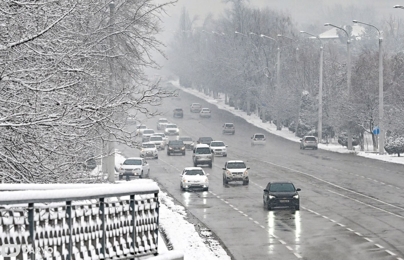 Ўзбекистонда 7 январь куни қор ёғиши кутилмоқда