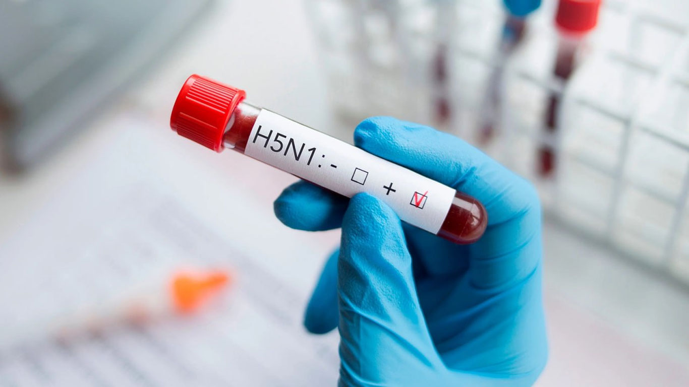 Парранда гриппи эпидемияга айланадими?