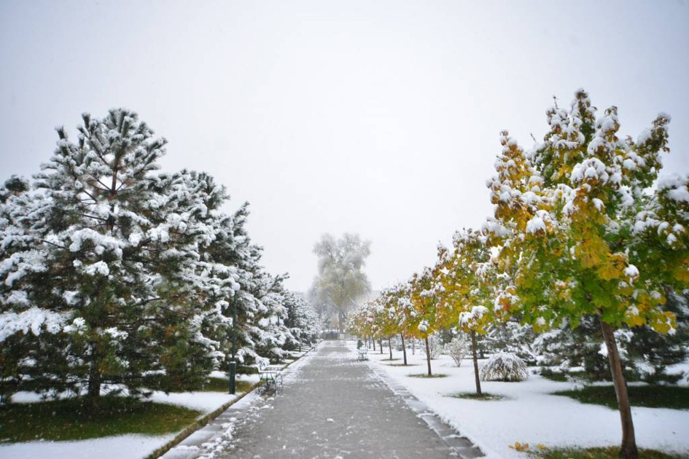 13 январь учун об-ҳаво прогнози эълон қилинди