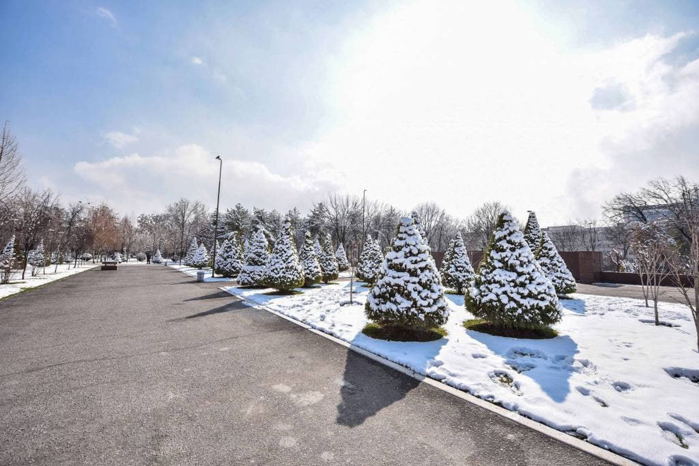 12 январь учун об-ҳаво прогнози эълон қилинди