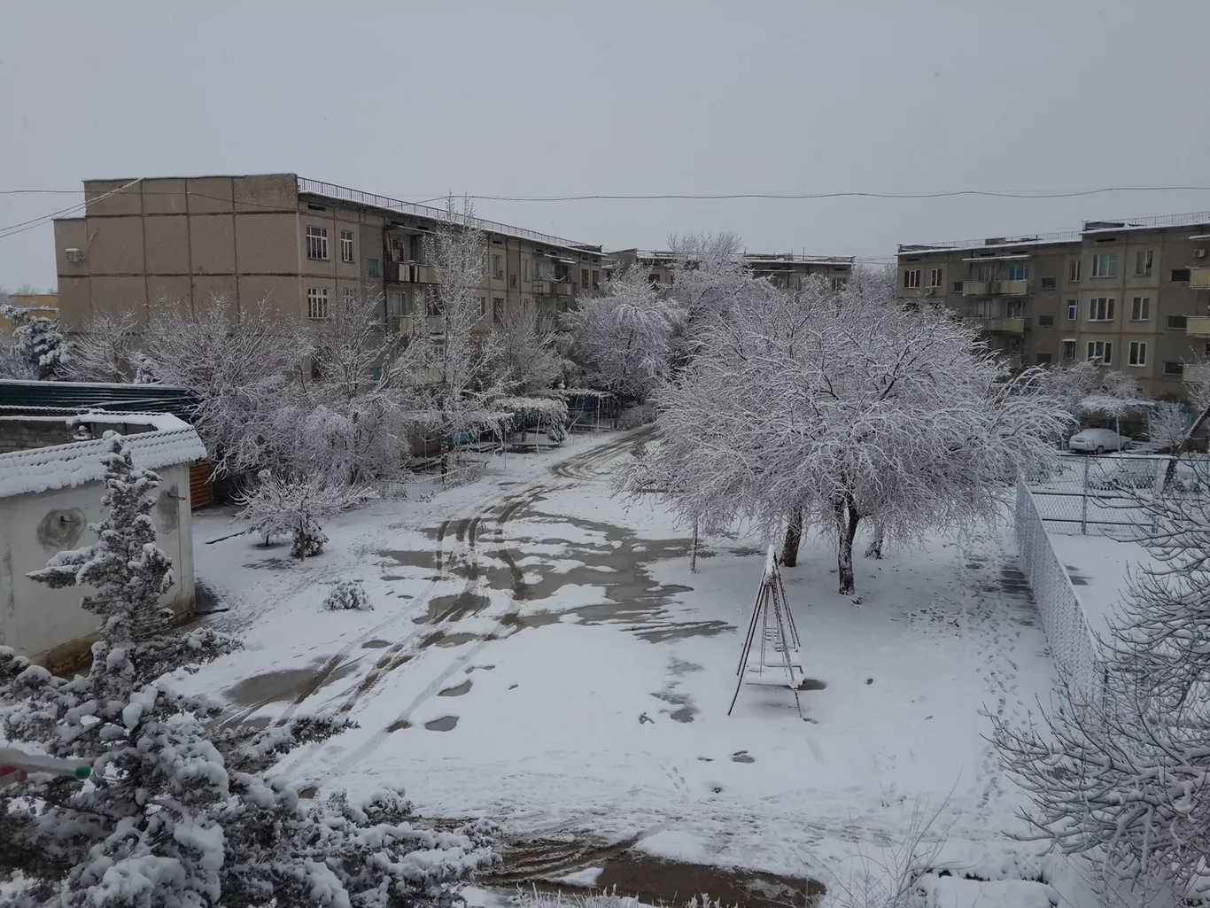 23 январь учун об-ҳаво прогнози эълон қилинди