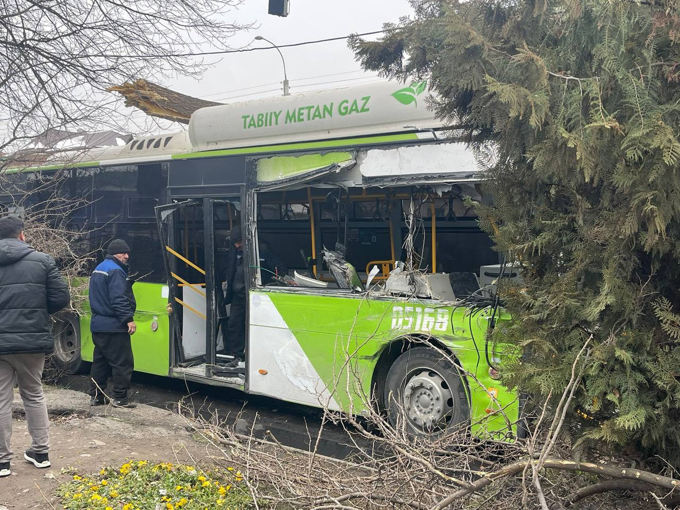 Toshkentda avtobus daraxtga borib urildi