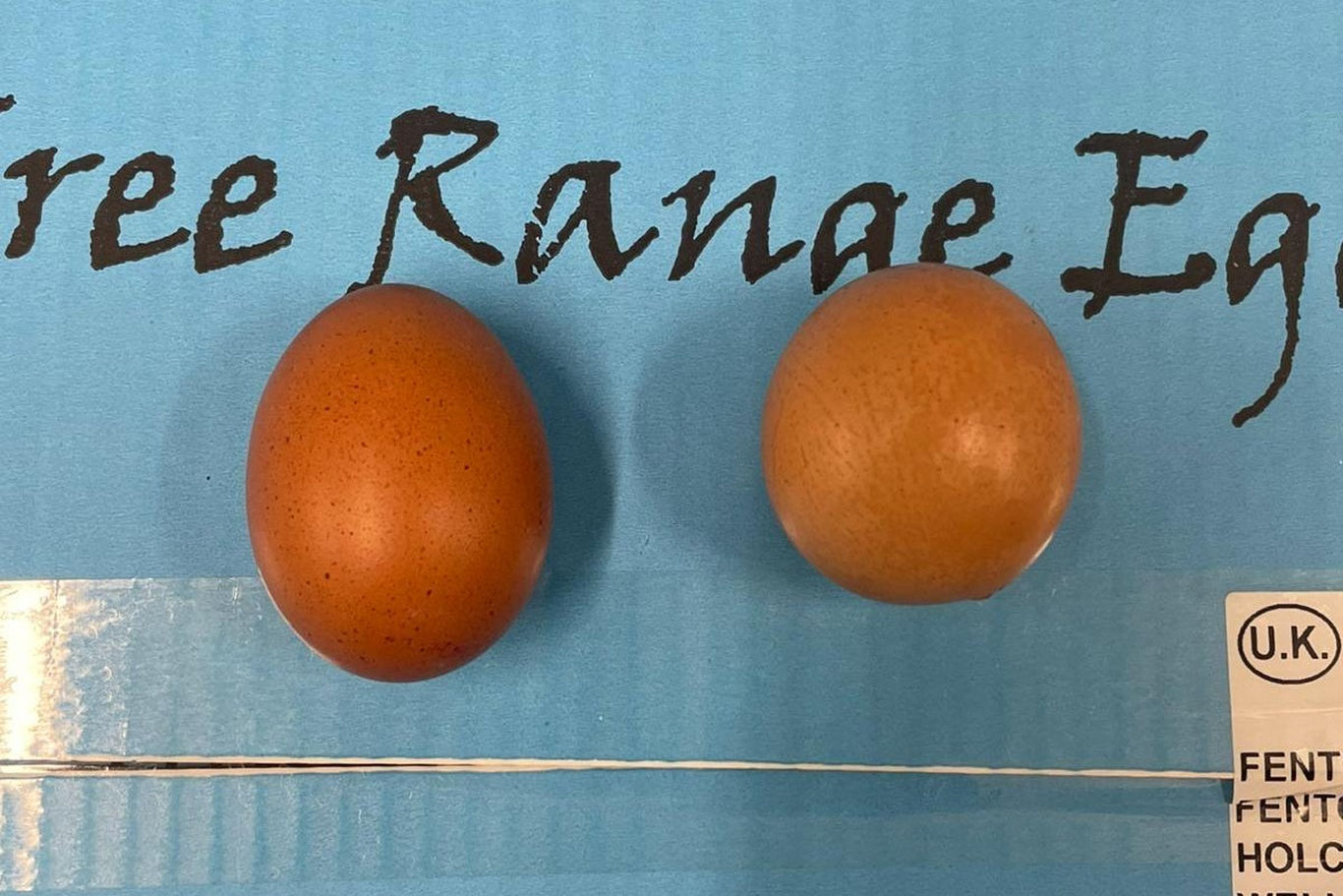 Англияда товуқ тухуми кимошди савдосида сотилди