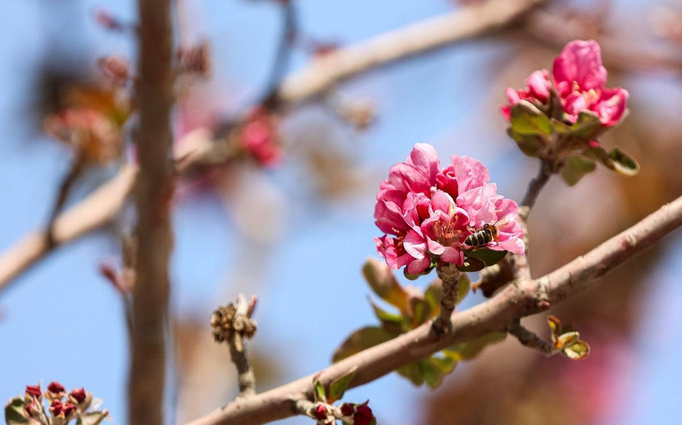 22 март учун об-ҳаво прогнози эълон қилинди