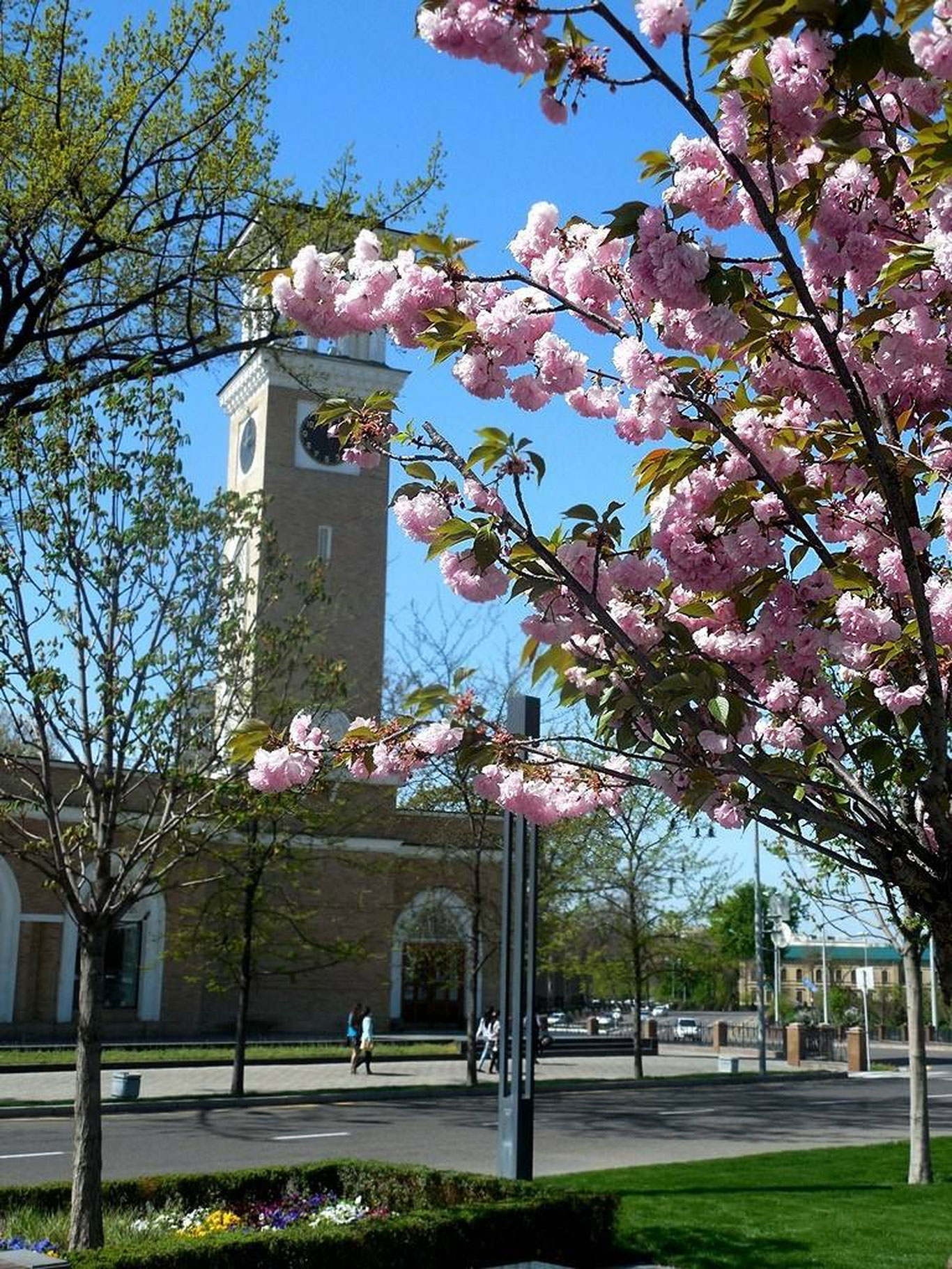 29 март учун об-ҳаво прогнози эълон қилинди