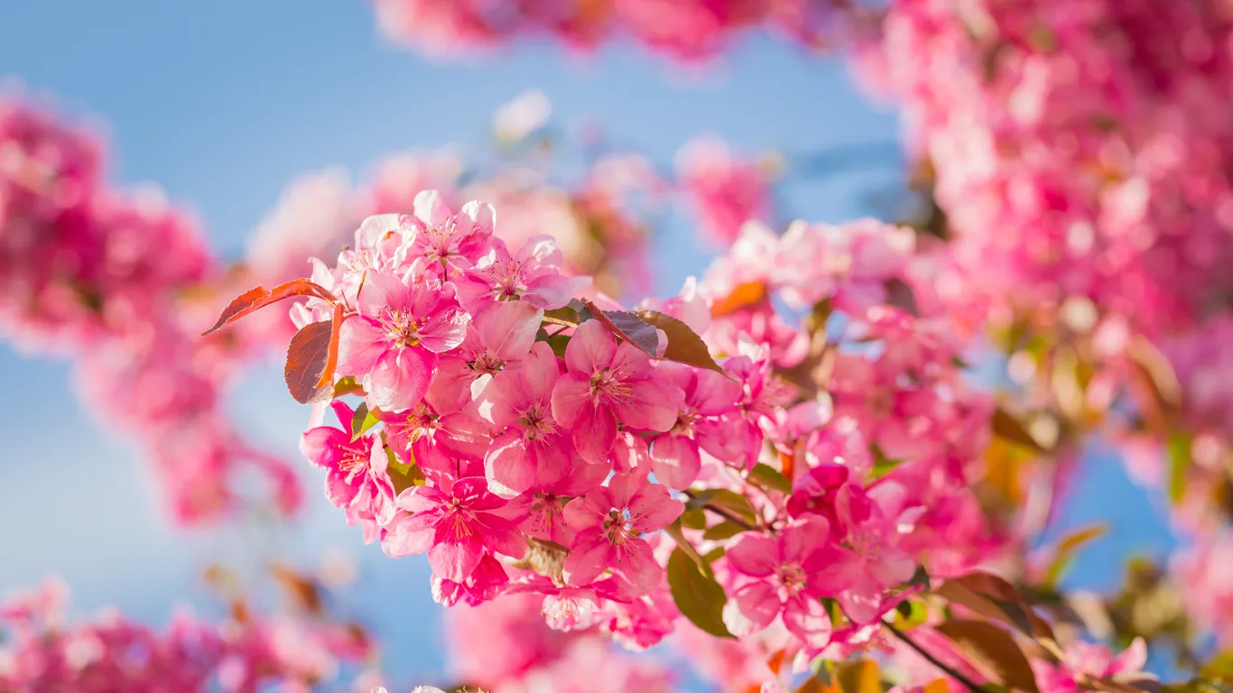 30 март учун об-ҳаво прогнози эълон қилинди