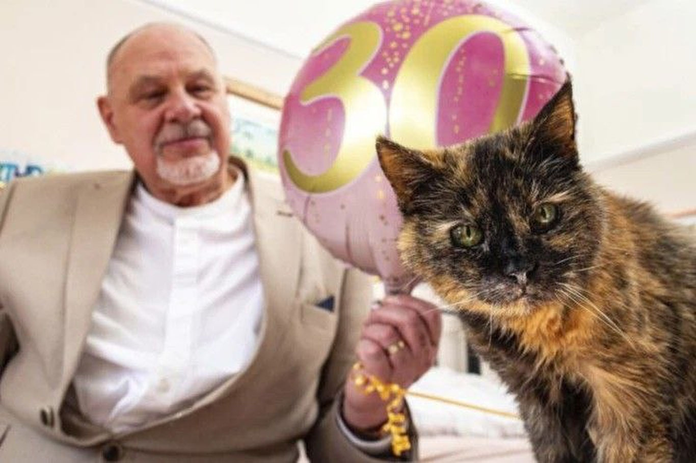 Дунёдаги энг кекса мушук 30 ёшга тўлди