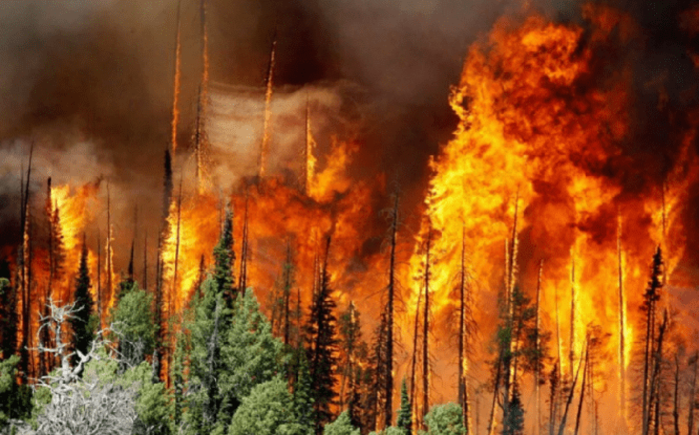 Жанубий Кореядаги ёнғиннинг сабаби аниқланди