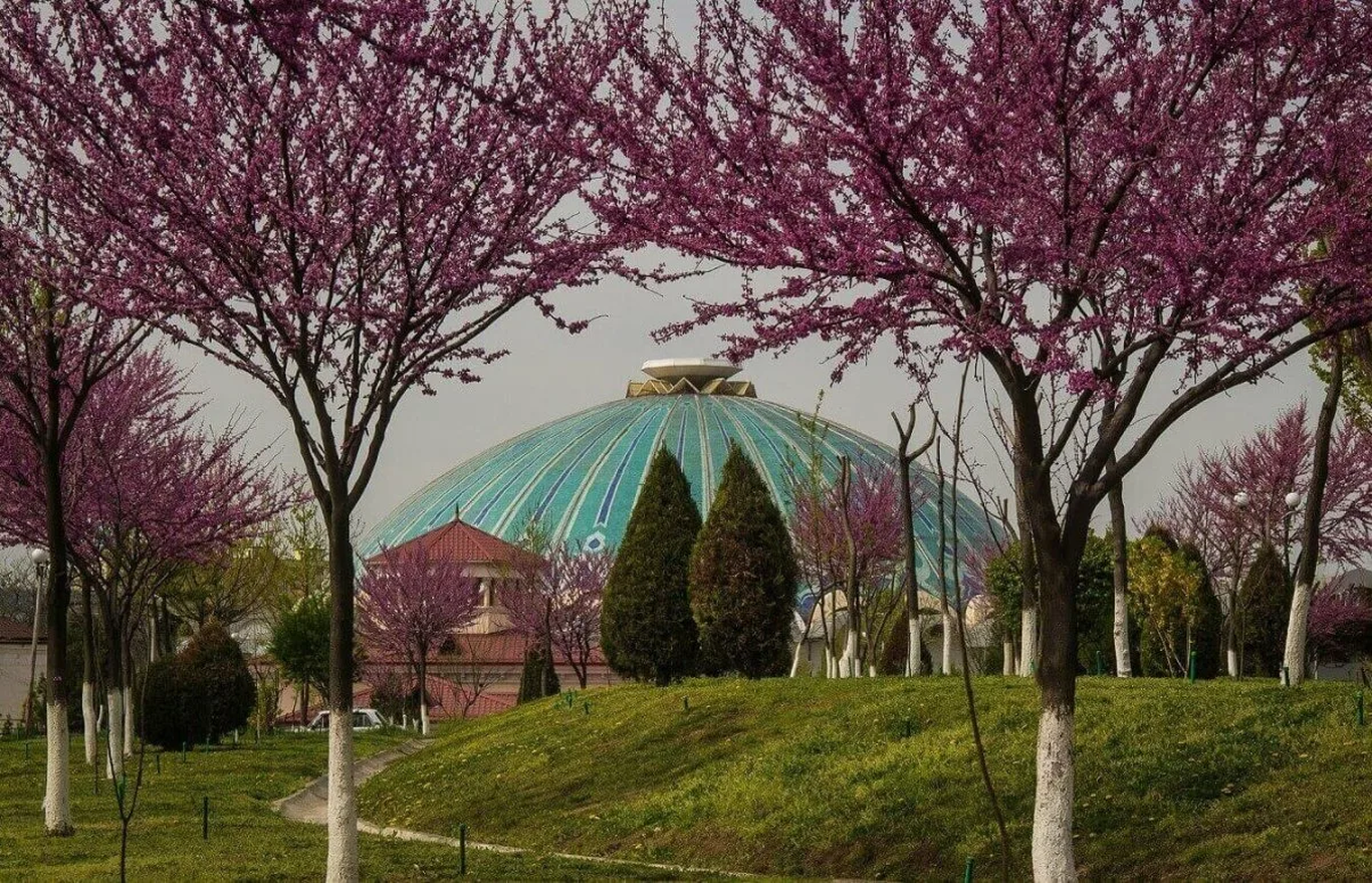 2 апрель учун об-ҳаво прогнози эълон қилинди