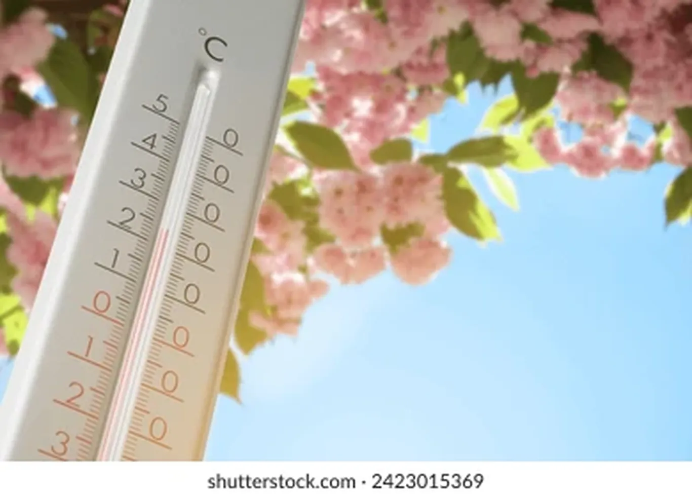 24 апрель учун об-ҳаво прогнози эълон қилинди