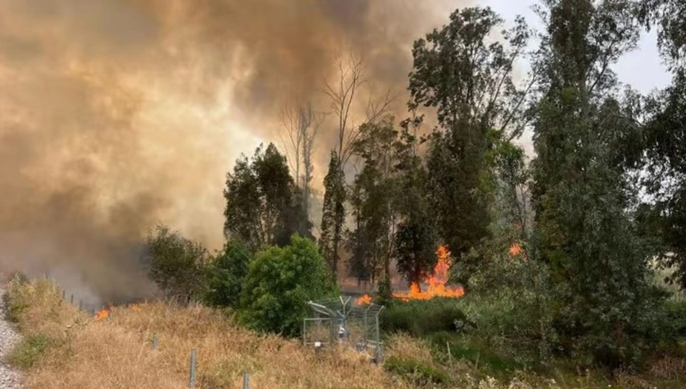 Исроилда кучли иссиқлик туфайли ўрмон ёнғинлари бошланди