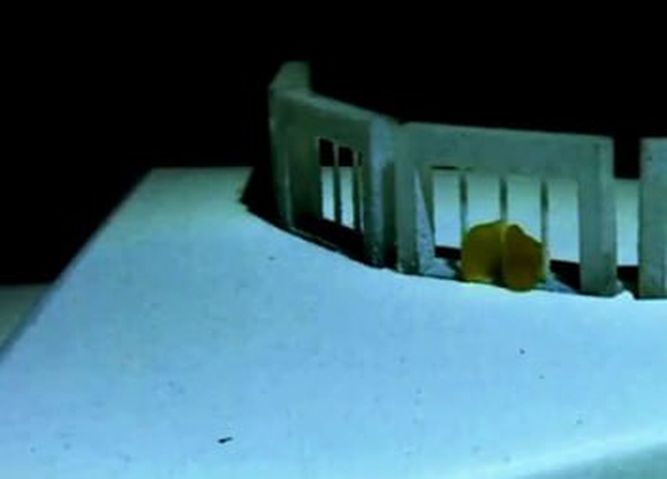 Janubiy Koreyada panjaralardan o‘ta oladigan robot ixtiro qilindi