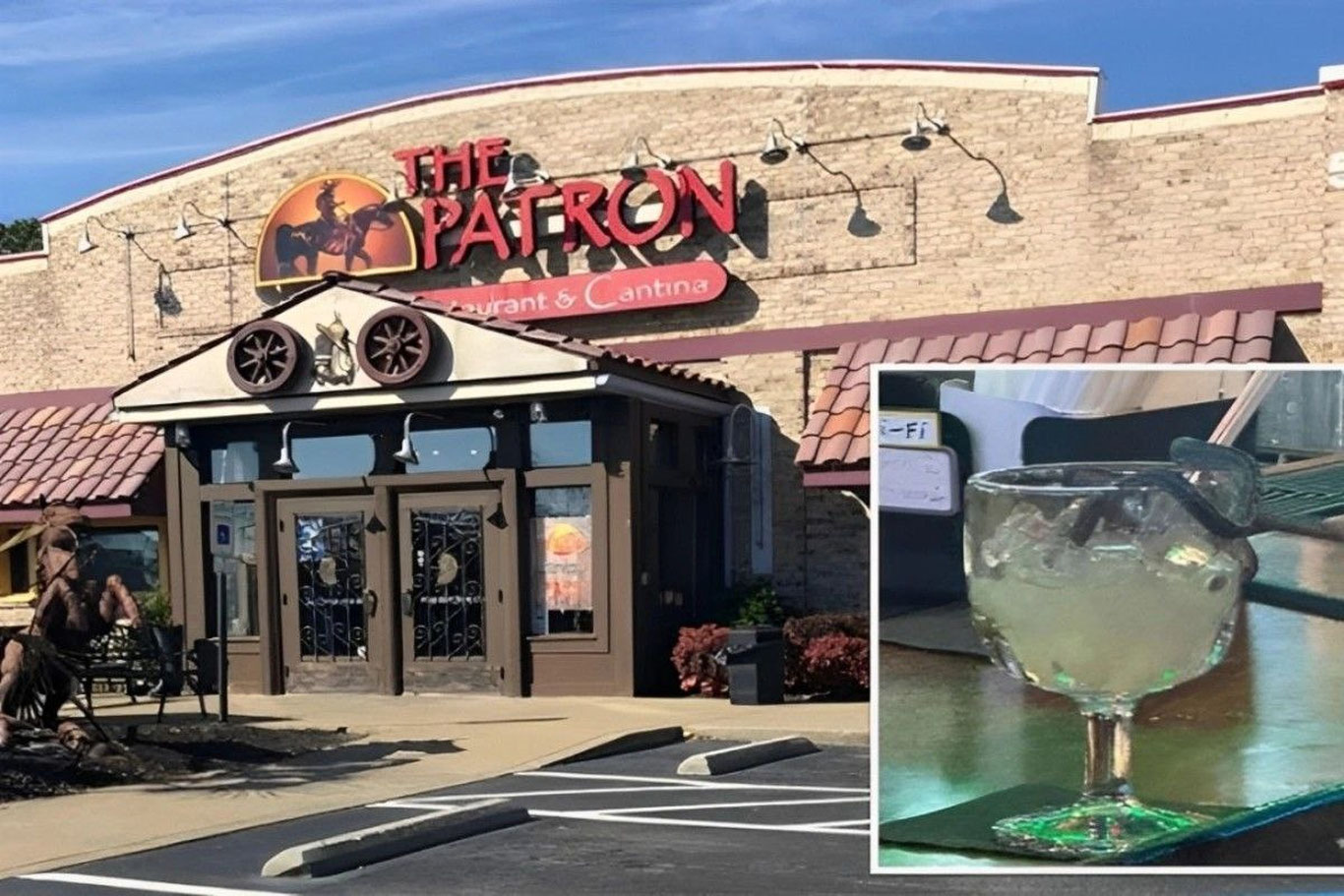 АҚШдаги ресторанлардан бирида ичимлик ичидан илон чиқди