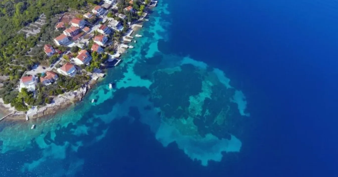 Okean tubida suv osti oroli topildi