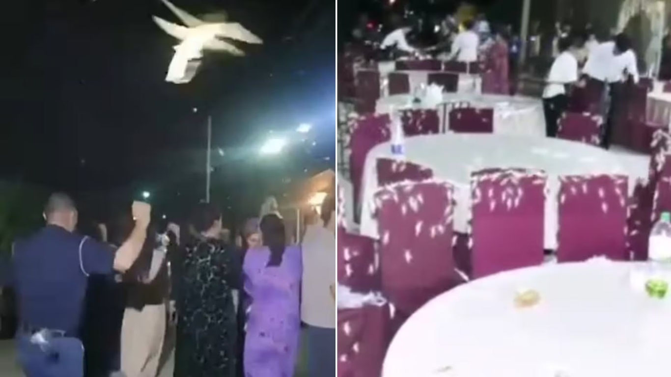 To‘rtko‘ldagi to‘yga chigirtkalar hujum qildimi?