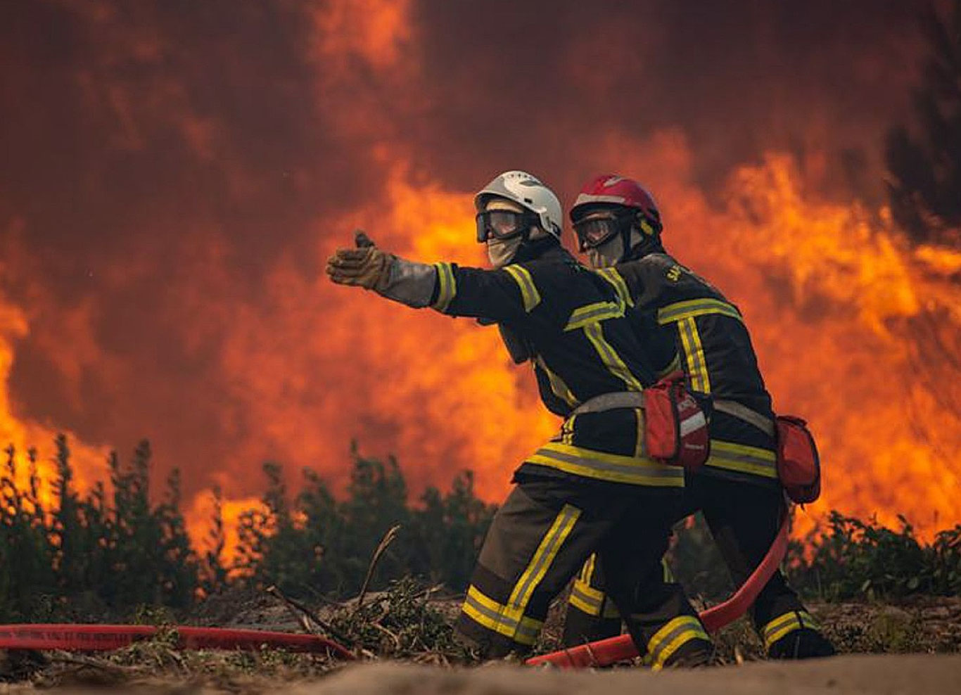 Испанияда кучли ўрмон ёнғинлари юзага келди