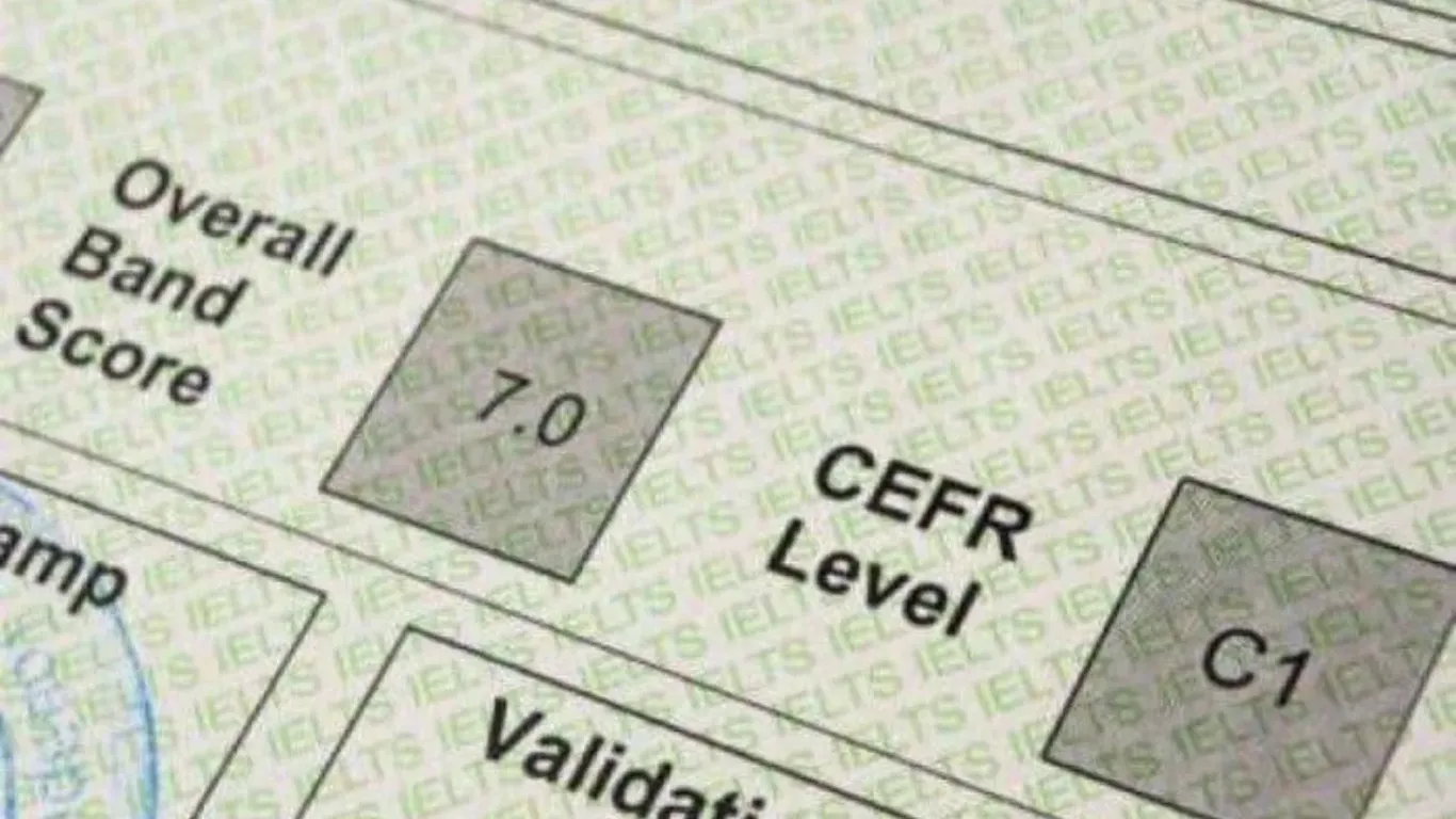 Чет тилларини ўрганаётган ёшлар учун давлат субсидияси жорий этилди
