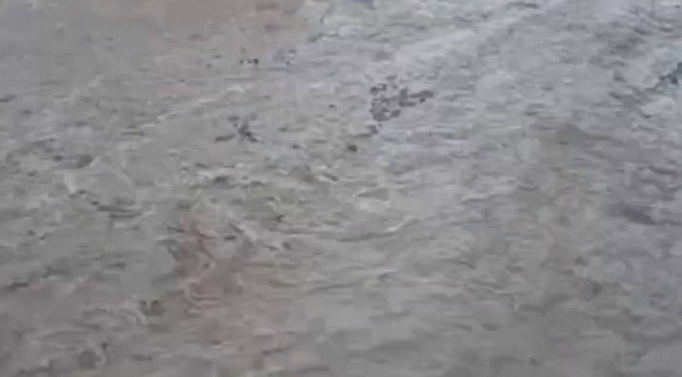 Andijonda aholi uylarini suv bosdi