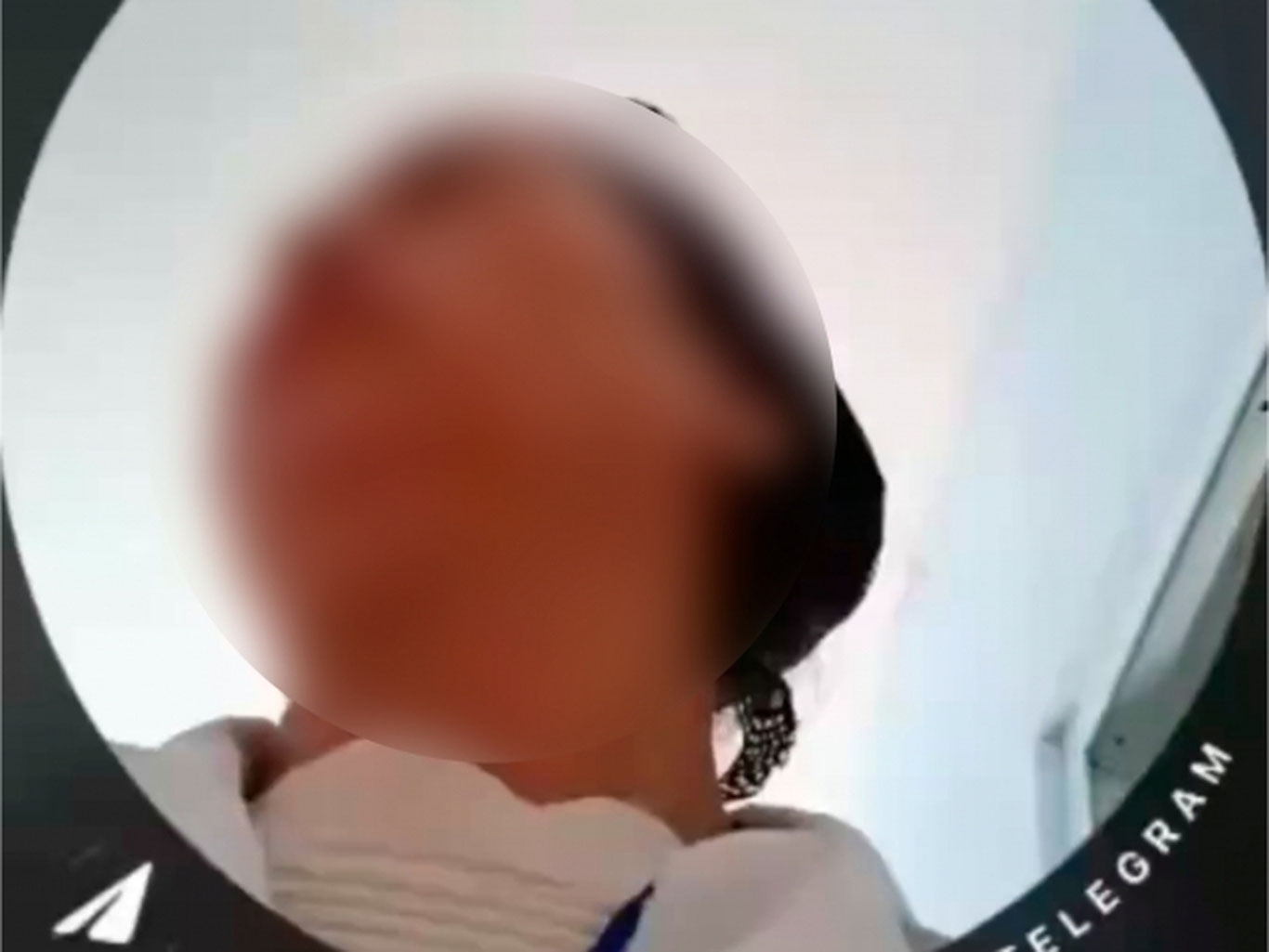 Sirdaryodagi bog‘chada bola uzr so‘rashga majburlandi