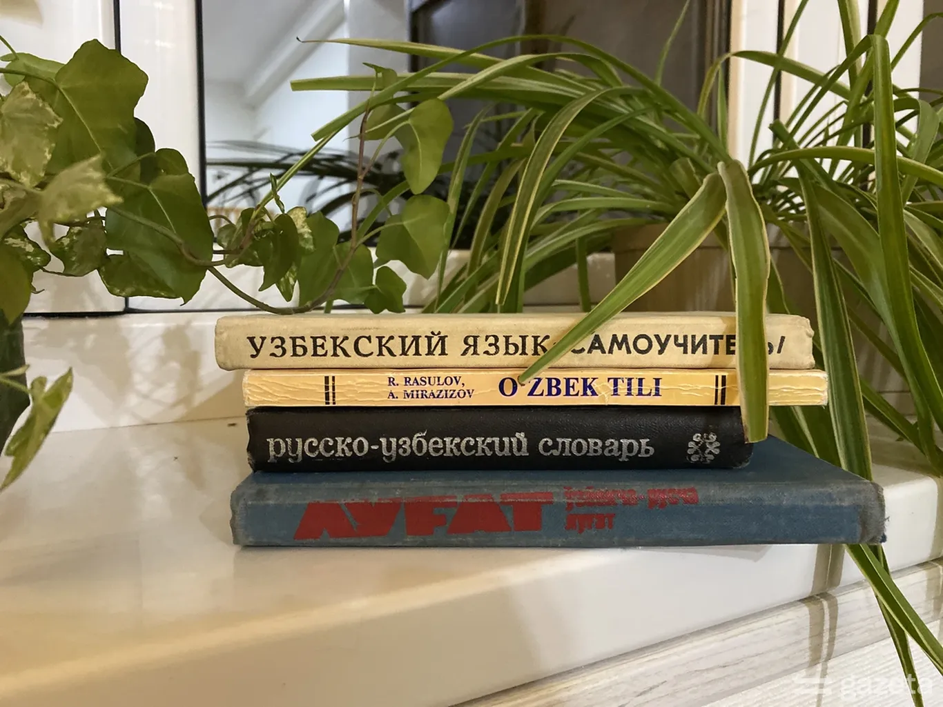 Дунё бўйлаб ўзбек тилида 50 млн одам сўзлашади