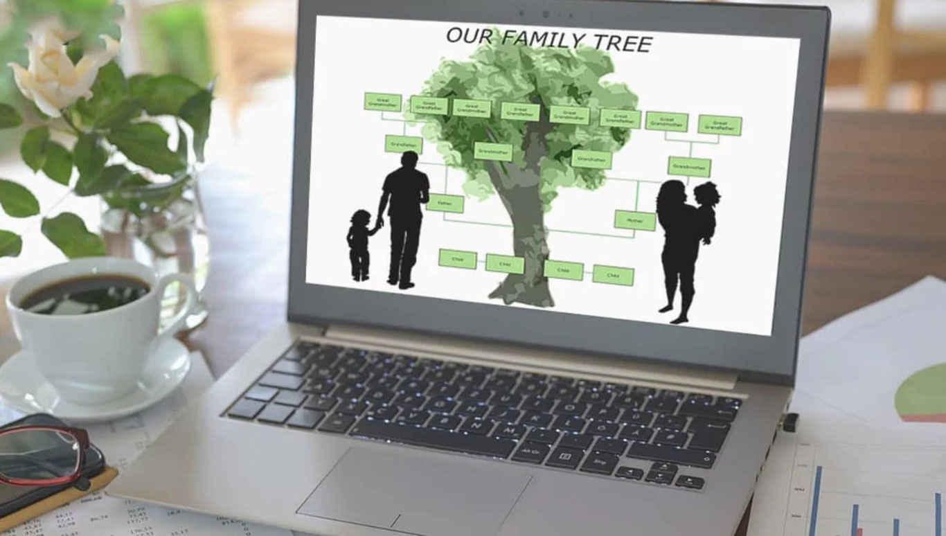 Ўзбекистонда 2026 йил 1 сентябрдан “Шажара” тизими ишга туширилади