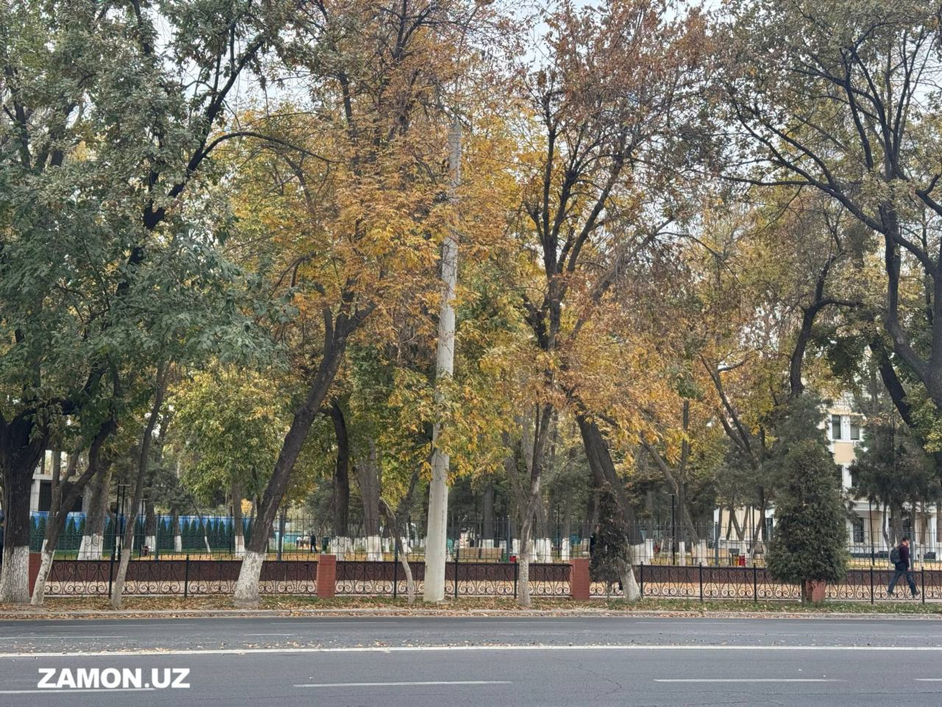 Бугун Ўзбекистоннинг тоғли ҳудудларда ёмғир ва қор ёғиши кутилмоқда