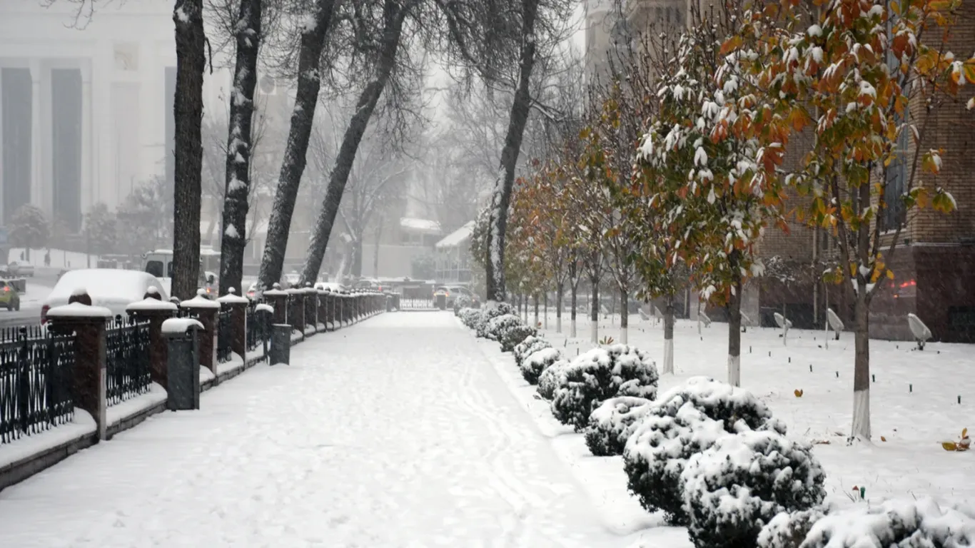 Ҳафта бошида Ўзбекистоннинг қатор ҳудудларида қор ёғиши кутилмоқда