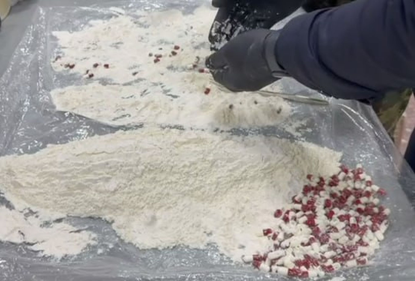 Surxondaryoda Koreyadan yuborilgan protein jo‘natmasida “qoradori” aniqlandi